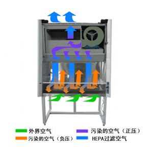 生物安全柜原理