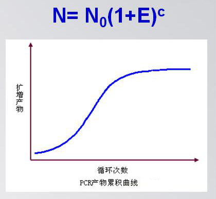 PCR产物累积曲线