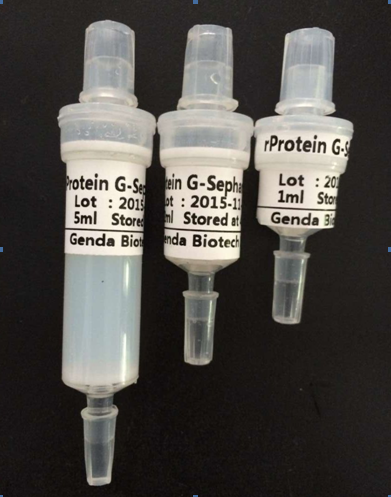 <b>重组蛋白G预装柱（rec-Protein G Column）</b>