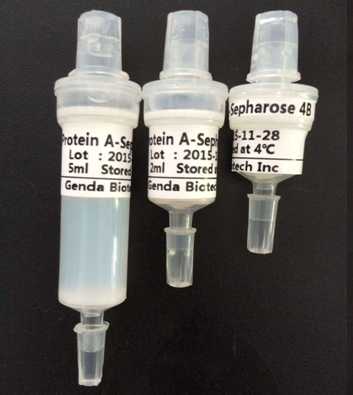 重组蛋白A预装柱 （rec-Protein A Column）