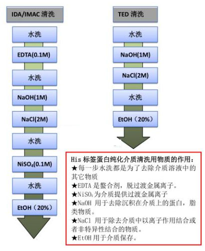 重组蛋白亲和层析纯化